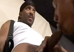 Marqi & Tank (TAGGAZ)