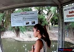 Crocodiles munching and making his amateur Thai GF cum hard