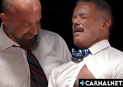 James Towheaded servicing his 2 fresh Lecturers Reece Scott and Wank Aries