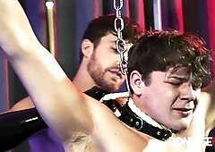 Hairy man, hd videos, in english