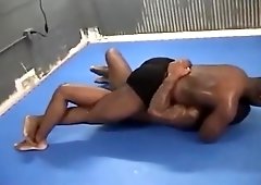 pain bully figh vers