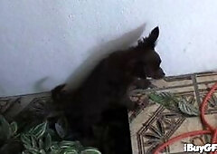 Trina michaels models naked for photos getting her massive tits out