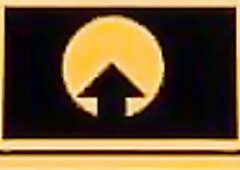 Youthful DL Rapper Screws Tgirl Pornstar Vixxxen Bankz!