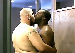 Bear blow, homo, faphouse