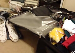 ZZ Series - Swallow european Jacky Joy