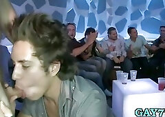 The best gay sauna on earth