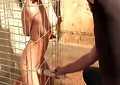 3x Submissive Cages