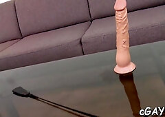 Rigid core ass bandit romp