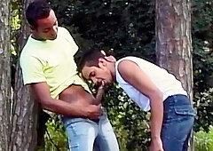 Hebster and Jadiel fuck in the middle of a jungle