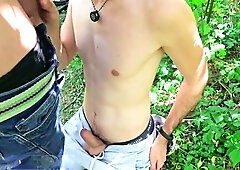 Gay forest, old man forest