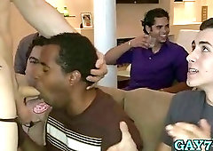 Group of gays enjoy cocks