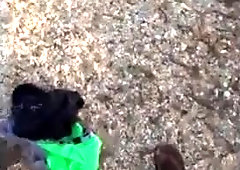 Public Sucker Clothespins