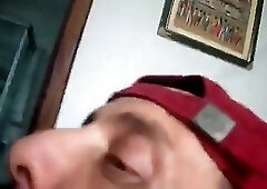 Bezerro carioca mamando os machos