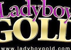 Asian ladyboy sucks and rides a big cock in POV