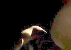 Watch these hot amateurs play in the garden and pleasure each other's bodies