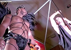 Latin hunks pleasure each other's cocks in gay live performance