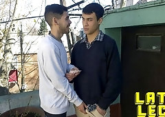 Inked Latin boys enjoying a quick bareback session