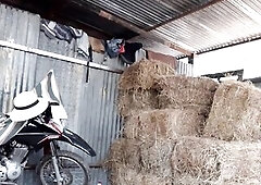 Pajaso en la bodega del heno, el heno pica