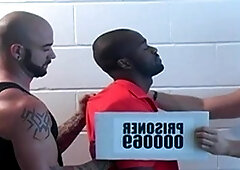 Next Door Studios: Alpha Group Takes Control of Swift