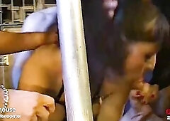 The hawt brunette hair with fucks and nose piercing gets screwed doggy style in advance of dropping to her knees for multiple boyz. Thick loads blast 