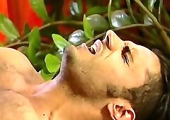 Desperate Househusbands