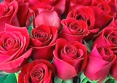 Bangladeshi first-timer gets into gay action with Desi Mazaa