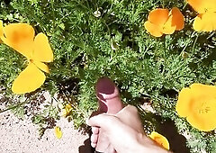 Stop to smell the flowers