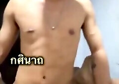 Thai twink top breeding codacolours