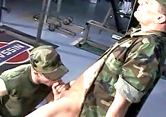 Muscle, bj, gay suck