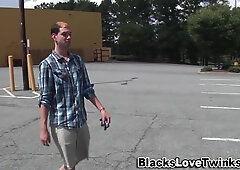 Dark-Hued Inexperienced Porks Youngster