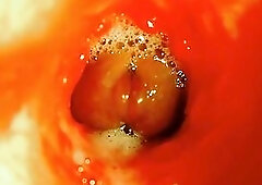 The path into the depths and moist splashes