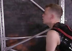 Doggy Play and Ass Stretching in Latex