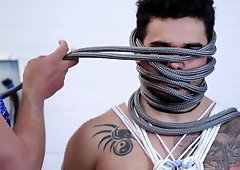 NUDE AUSTRALIAN BEARS