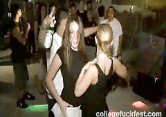 University tart doggystyled at frat party