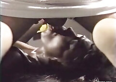 Watch Legend Porn Star Domonique Simone Fucks Four Legends Finishes it off on now! - Babe, Blowjob, Cumshot Porn Legend Porn Star Domonique Simone Fu