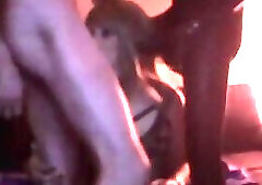 Gangbang Trans suceuse de bite fetish cuissardes talons