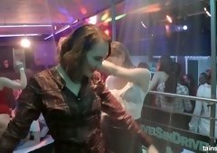 Adorable and sex-hungry bitches are lapdancing at the party