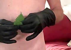 Naked fag sissy drew Painful and humiliating nettle