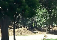 Str8 Chaser: Thick Vincent Oreilly handjob outdoors