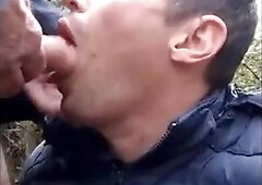 Cruising in the forest