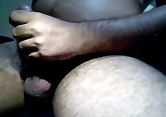 light jerking bear webcam