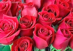 Mature man from Bangladesh gets pounded in gay porn