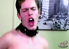 Dakota White And Nico Michaelson - Horny Dakota Is Back For More!