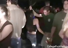 Amateur coed sucks on hard dick