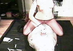 Amateur australian bitches licking