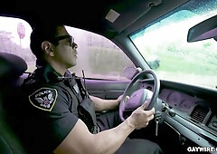 Respect The Law
