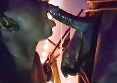 Halloween particular *it gets sloppy*