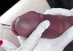 Flawless extraction of semen directly from the urethra. Close-up of the glass straw sounding.