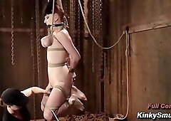 Newbie Bondage Sybian Sluts Extreme