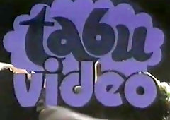 Ein fleibiger Pinsel